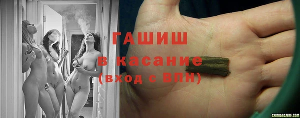 прущие грибы Волосово