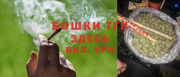 прущие грибы Волосово