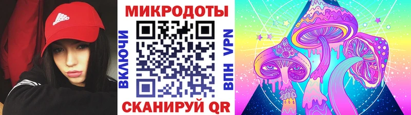 Псилоцибиновые грибы мицелий  hydra онион  Бийск 
